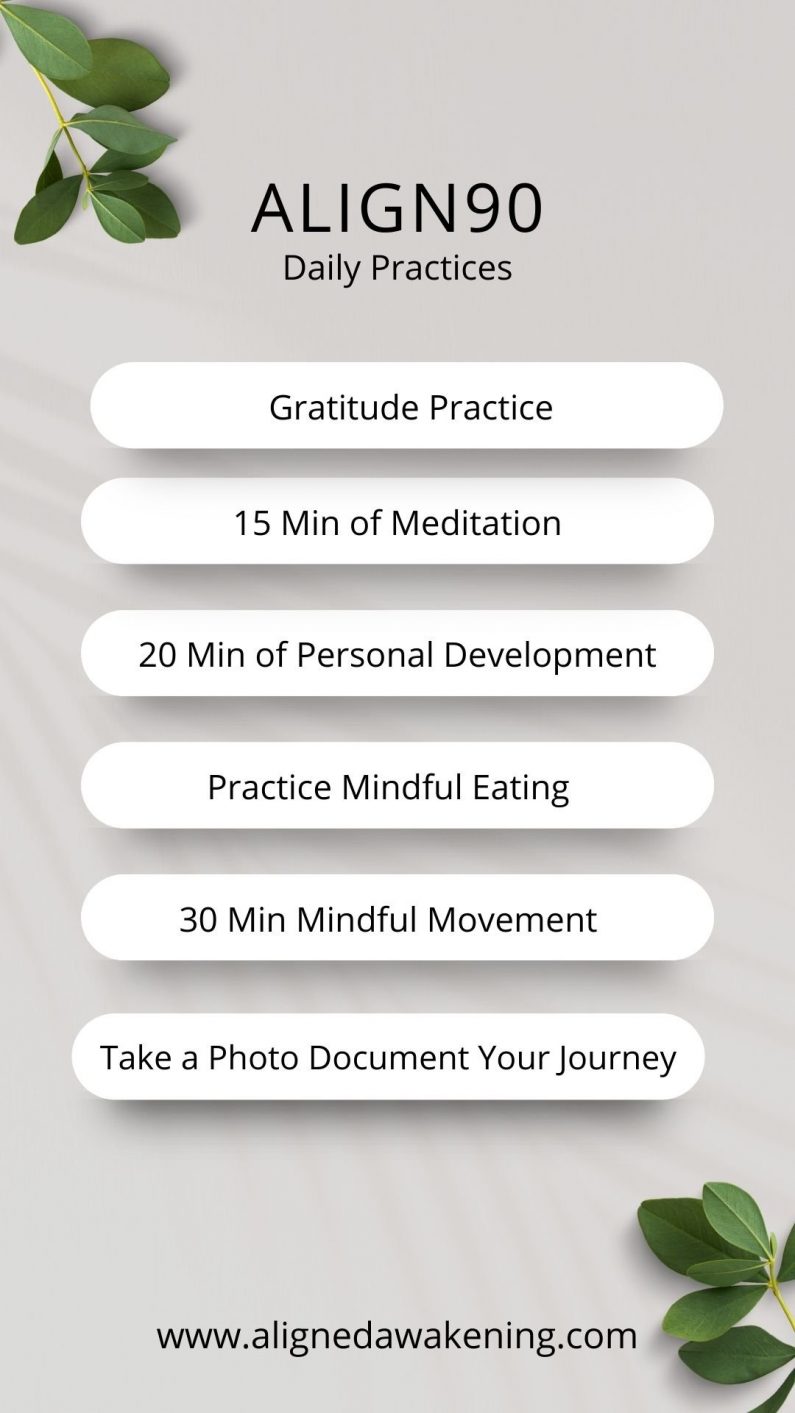 Align90 (2) align90program